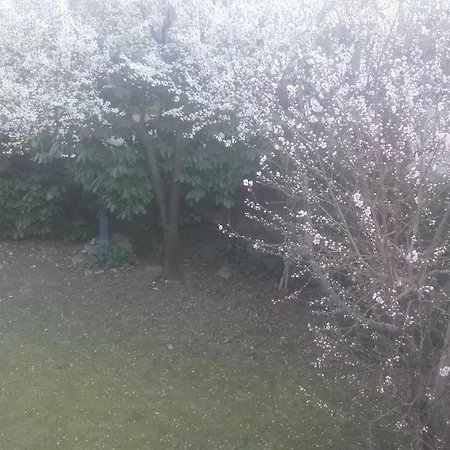 Giardino *